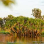 5 Day Top End Camping Tour - The Value of This Tour