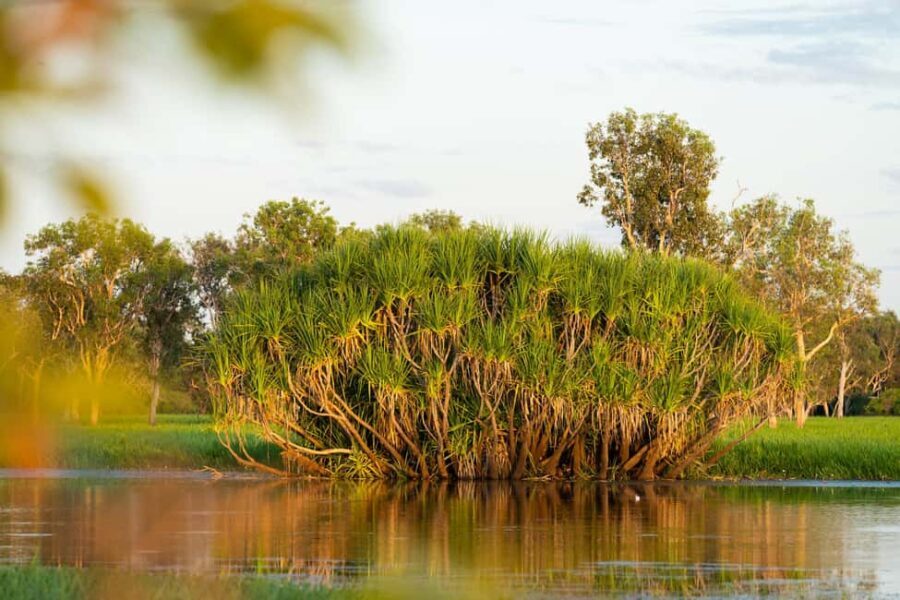 5 Day Top End Camping Tour - The Value of This Tour