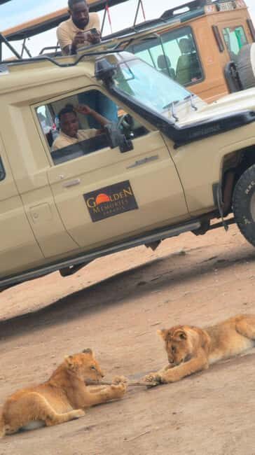 5 DAY TOP SHELF SAFARI - Final Thoughts: Who Should Consider This Tour?