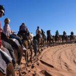 5 Day Tour From Casablanca To Marakech via desert - Who Is This Tour Best Suited For?