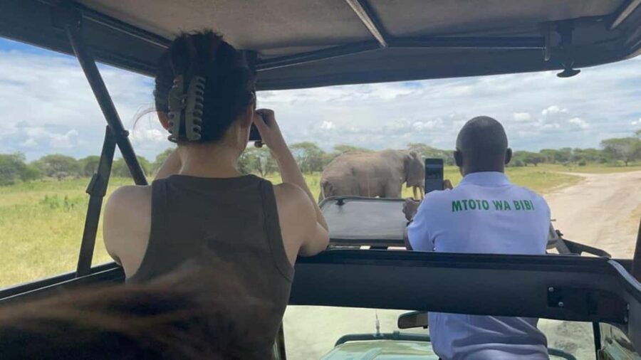 5 Days Enjoy Tarangire, Serengeti, Ngorongoro Safari - What Makes This Tour Stand Out?