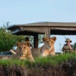 5 Days Family Tanzania Safari - Meilleur Tours Tanzania - What Makes This Tour Stand Out