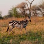 5 Days Group Camping Safari - What’s Included and What’s Not
