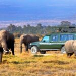 5 Days Group Serengeti, Ngorongoro & Tarangire wildlife Tour - What’s Included & What to Consider