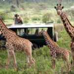 5 Days Magical Kenya Lodge Safari Kenya Wildlife Safari - Day 3: Lake Nakuru to Maasai Mara