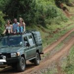 5 Days Masai Mara, Lake Nakuru and Aberdare Circuit Safari - Detailed Breakdown of the Itinerary