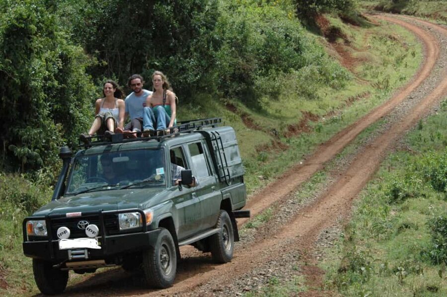 5 Days Masai Mara, Lake Nakuru and Aberdare Circuit Safari - Detailed Breakdown of the Itinerary