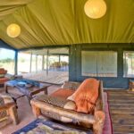 5-Days Midrange Safari - Tarangire, Serengeti, and Crater. - What’s Included and What to Expect