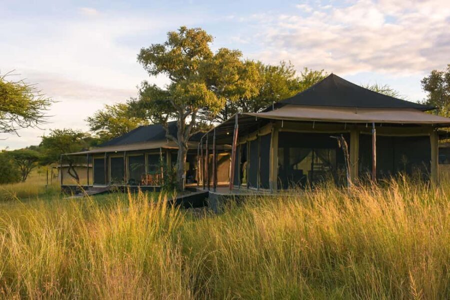 5 Days of Exploration and Wildlife Encounters - Key Points