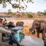 5 Days Taste of Amboseli, Tsavo West and East Luxury Safari - Value for Money