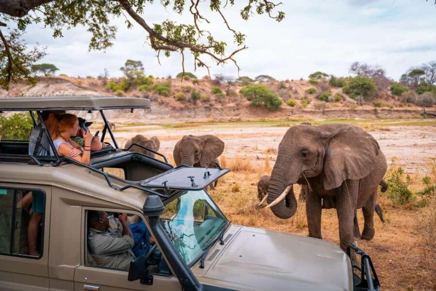 5 Days Taste of Amboseli, Tsavo West and East Luxury Safari - Value for Money