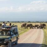 5-Days Tembo safari - Amboseli and Tsavo East - Authentic Experiences & Reviewer Insights