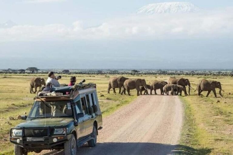 5-Days Tembo safari - Amboseli and Tsavo East - Authentic Experiences & Reviewer Insights