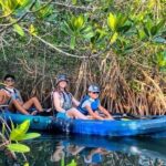 5 h kayak tour through the mangrove forest - An Authentic Journey Through Zanzibar’s Mangroves