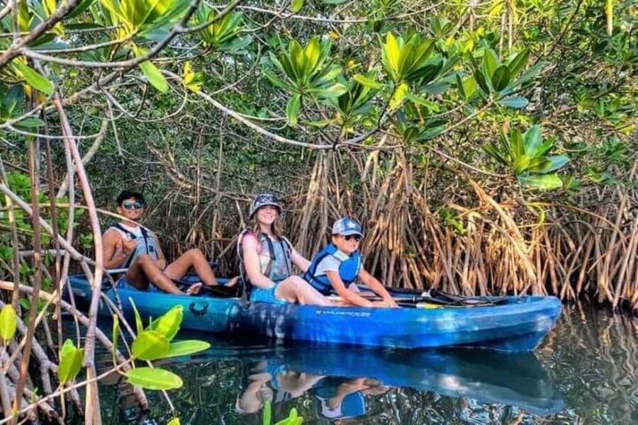 5 h kayak tour through the mangrove forest - An Authentic Journey Through Zanzibar’s Mangroves