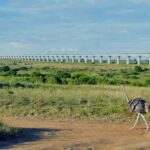 5 Hour - Tour Nairobi National Park Or Evening Game Drive - The Itinerary in Detail