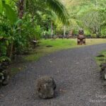 5 Hours Tahiti Island Tour - West and East Coast - Who Will Love This Tour?
