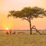 5Day of Wildlife Tarangire, Serengeti, Ngorongoro &Cultural - What Makes This Tour Stand Out?