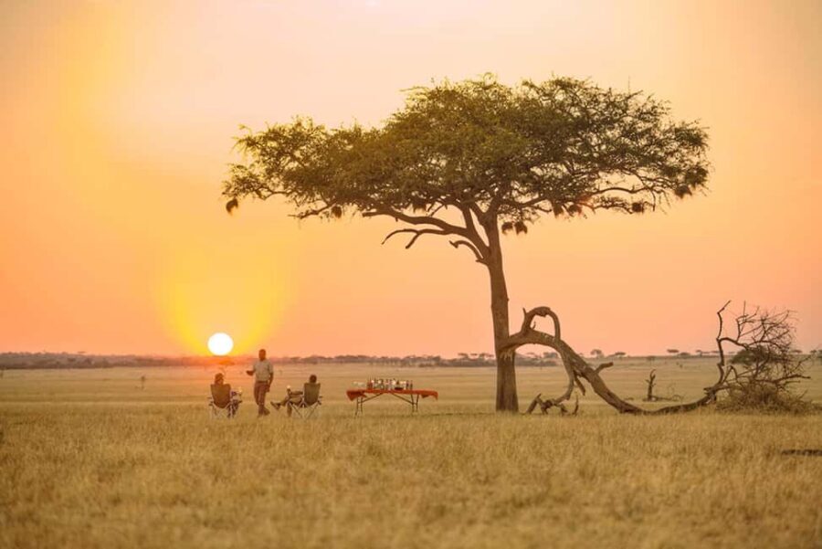 5Day of Wildlife Tarangire, Serengeti, Ngorongoro &Cultural - What Makes This Tour Stand Out?