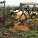 5days Hell's Gate, Lake Naivasha, Lake Nakuru and Masai Mara - Practical Tips & What to Expect