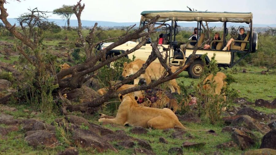 5days Hell's Gate, Lake Naivasha, Lake Nakuru and Masai Mara - Practical Tips & What to Expect