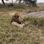 5Days, Tanzania Lodge Safaris & Hot Air Balloon - Day 3: Serengeti — The Iconic Wilderness