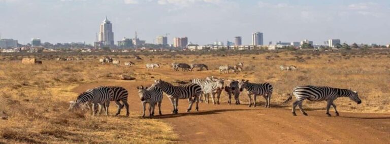 5Hrs Nairobi National Park MorningEvening Gamedrive 4x4 Van - FAQ