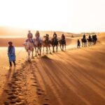 6-Day Adventure from Marrakech to Chefchaouen Via Merzouga - The Practicalities: What’s Included and What’s Not