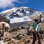 6-day Climbing Kilimanjaro via the Marangu Route with Huts - Final Thoughts