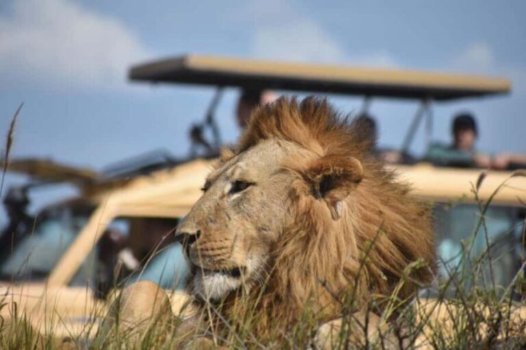 6-Day Comfort Safari to Tarangire, Serengeti, and Ngorongoro - Exploring Tanzania’s Top Wildlife Parks