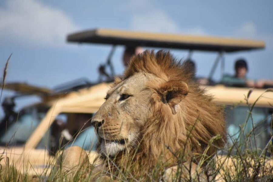 6-Day Comfort Safari to Tarangire, Serengeti, and Ngorongoro - Exploring Tanzania’s Top Wildlife Parks