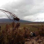 6-Day Kilimanjaro Hiking Machame Route - Authentic Insights from Reviews