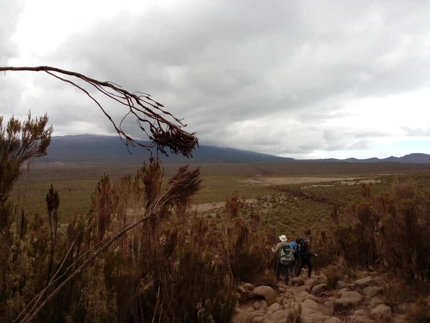 6-Day Kilimanjaro Hiking Machame Route - Authentic Insights from Reviews