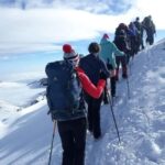6-Day Marangu Route Kilimanjaro Climb and 2-Day Safari - Who Is This Tour Best For?