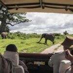 6-Day Masai Mara & Riftvalley Lakes Safari by 4x4 Jeep - Practical Details and Why They Matter