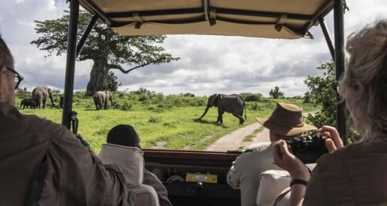 6-Day Masai Mara & Riftvalley Lakes Safari by 4x4 Jeep - Practical Details and Why They Matter