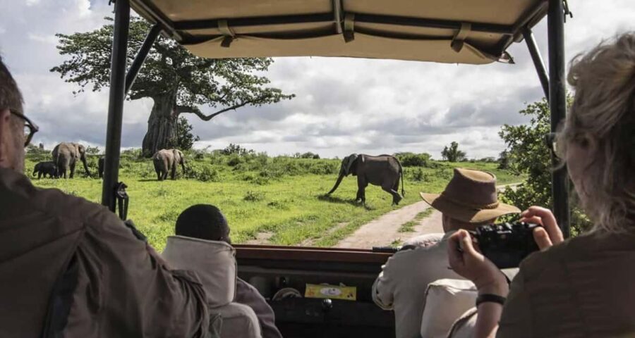 6-Day Masai Mara & Riftvalley Lakes Safari by 4x4 Jeep - Practical Details and Why They Matter
