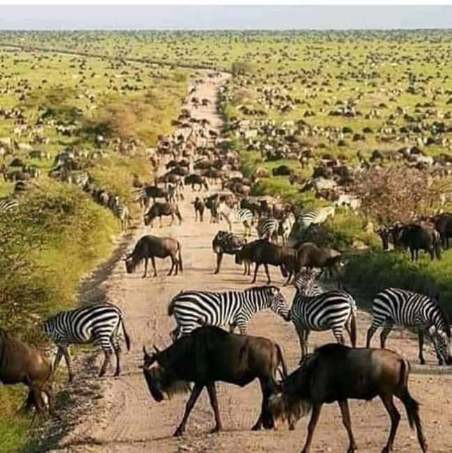 6-Day Private Wildlife and Cultural Tourism Safari - The Practical Side: What’s Included and What’s Not