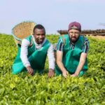 6-Day Rwanda-Uganda Gorilla & Chimp trekking Safari - The Full Experience: A Detailed Breakdown