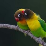 6-Day Tanzania Safari Landscapes & Wildlife Tour - What Makes This Tour Stand Out?