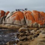 6-Day Tasmanian Explorer Adventure Tour from Hobart - Day 2: West Coast Wilderness and Rainforests
