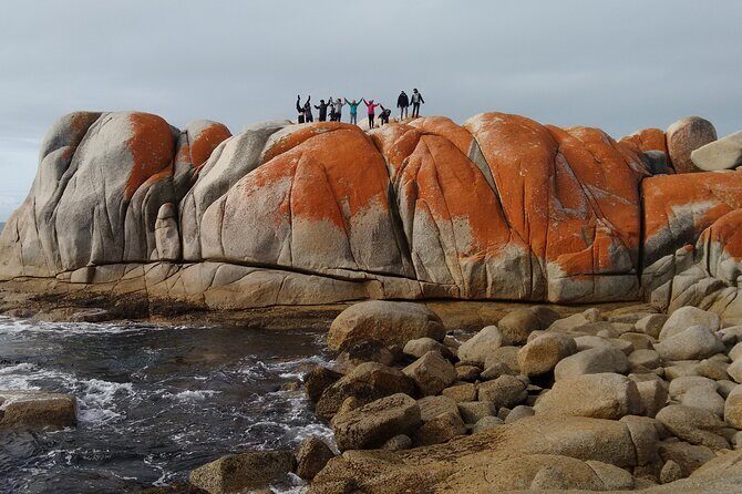 6-Day Tasmanian Explorer Adventure Tour from Hobart - Day 2: West Coast Wilderness and Rainforests