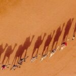 6-Days Casablanca to Marrakesh via Desert, Fez & Chefchaouen - Exploring the Itinerary in Detail