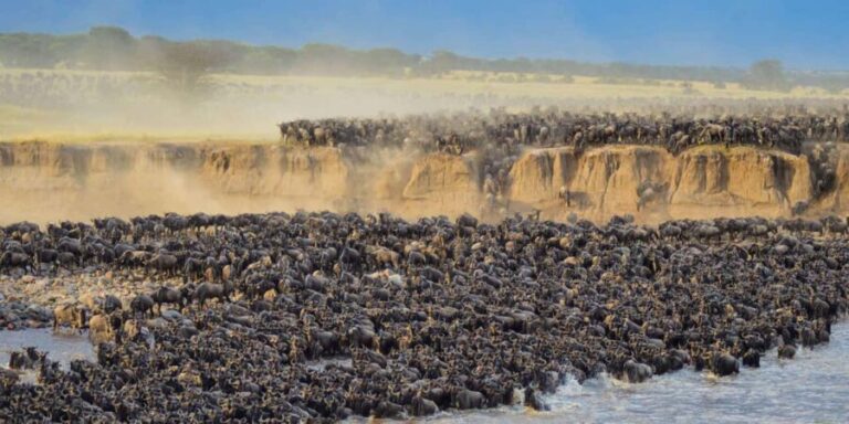 6 Days Great Lakes of Kenya and Masai Mara Safari - Practical Considerations and Value