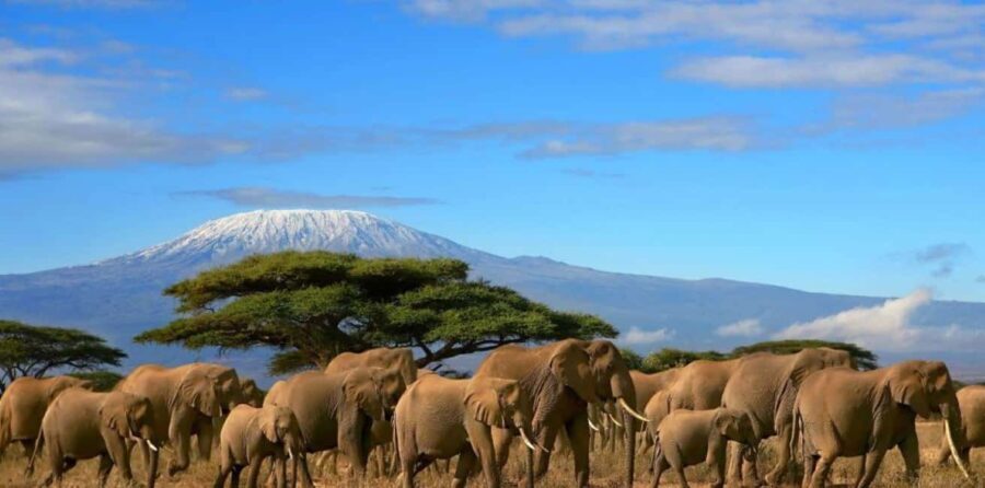 6 Days, Group Safari to Masai Mara, Lake Nakuru and Amboseli - Exploring Maasai Mara in Depth