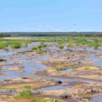 6 Days Johannesburg and Kruger National Park Tour - Frequently Asked Questions