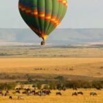 6 Days Lake and Bush Safari - Lake Naivasha and Masai Mara - The Itinerary Breakdown: What Makes Each Day Special