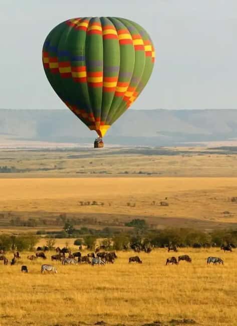 6 Days Lake and Bush Safari - Lake Naivasha and Masai Mara - The Itinerary Breakdown: What Makes Each Day Special