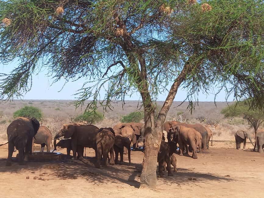 6 Days Masai Mara - Lake Nakuru & Samburu Safari. - The Practicalities: What You Need to Know