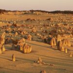 6 Hours Pinnacles Express Tour - Why This Tour Offers Great Value